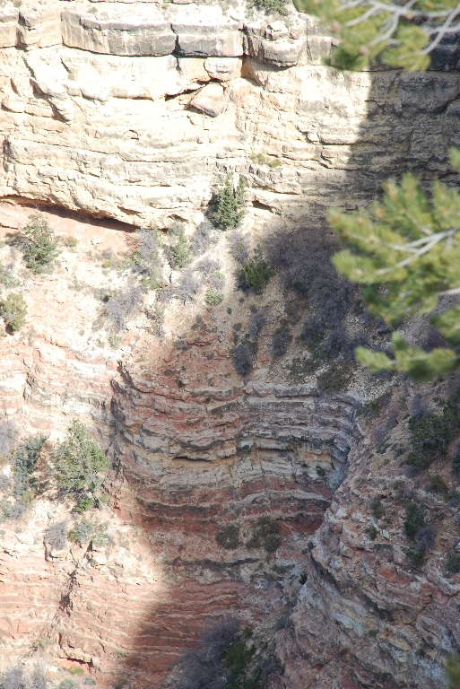 DSC_1897.JPG